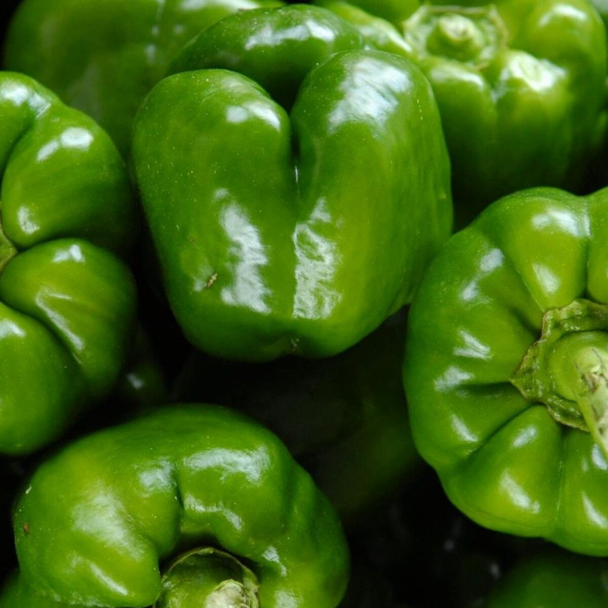 Bali Mexican cuisine lifestyle