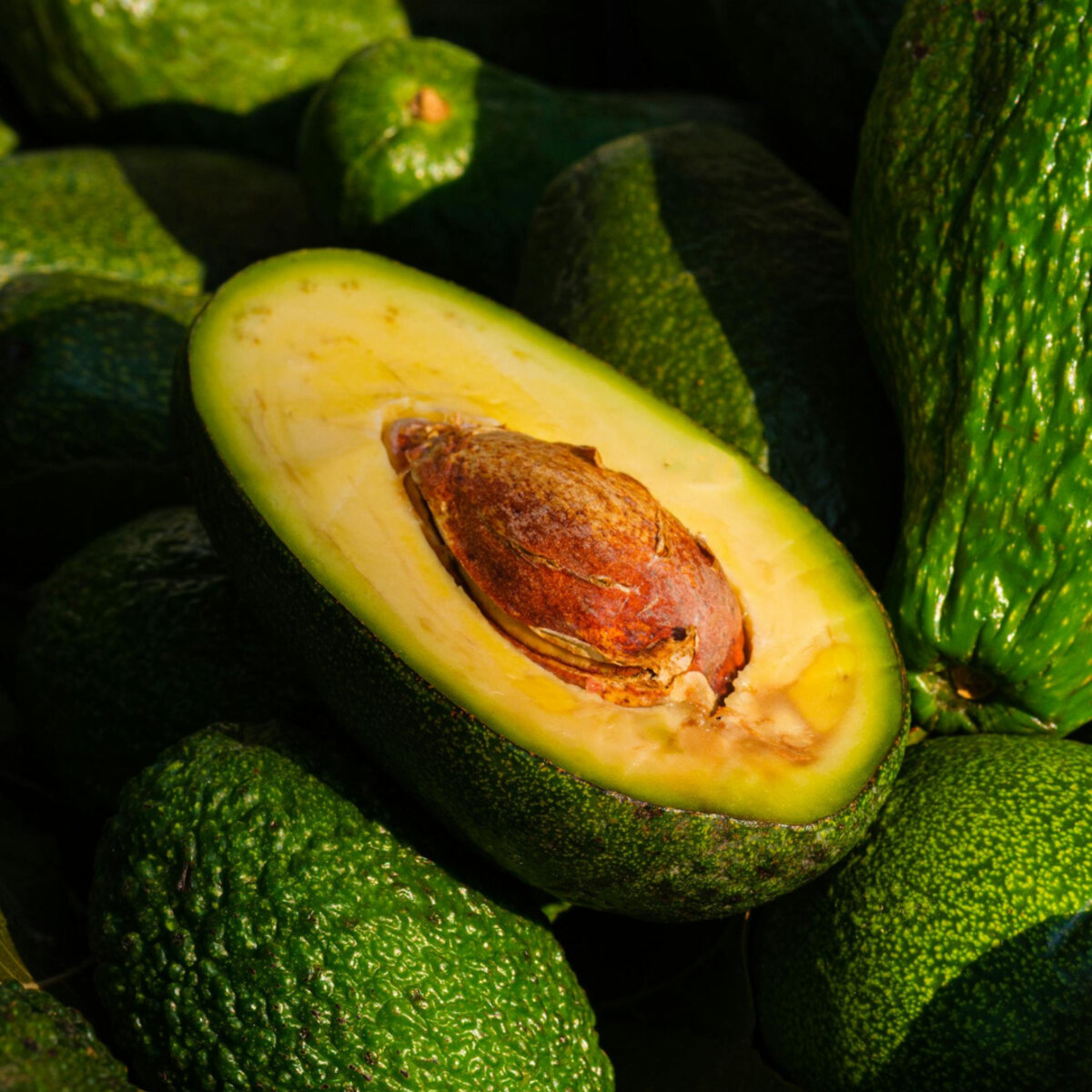 Authentic Mexican restaurant atmosphere in Canggu